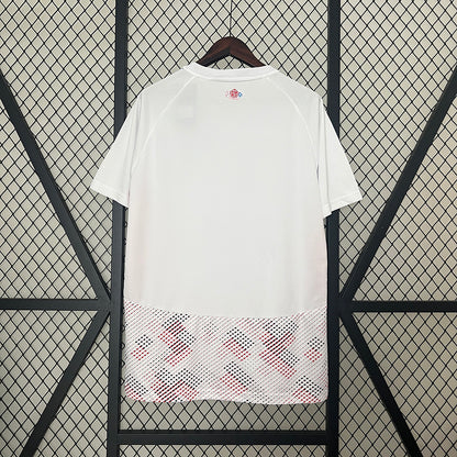 Maillot Lille Extérieur 24/25